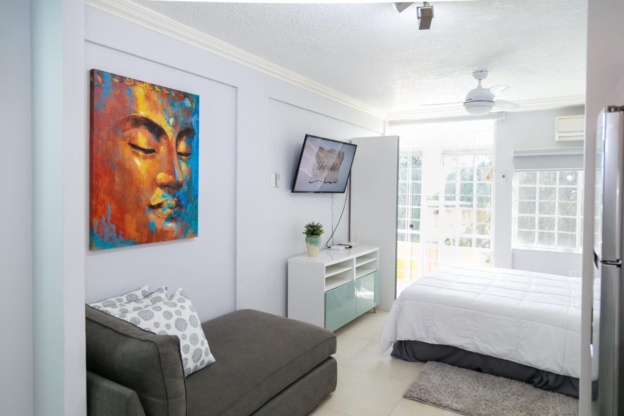 Choose To Be Happy At Seymour # 9 And #16 - Studio Apartments Kingston Eksteriør billede